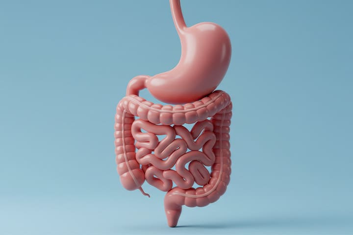 胃カメラ・大腸カメラの同時検査が可能