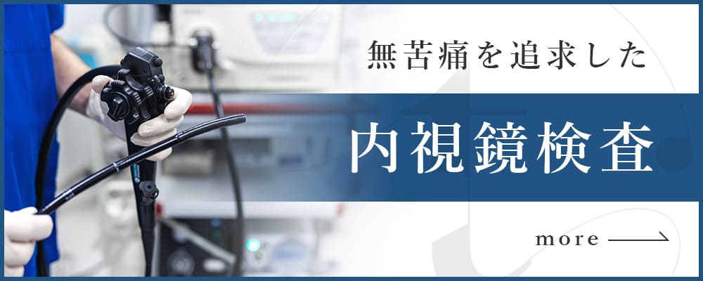 無苦痛を追求した内視鏡検査